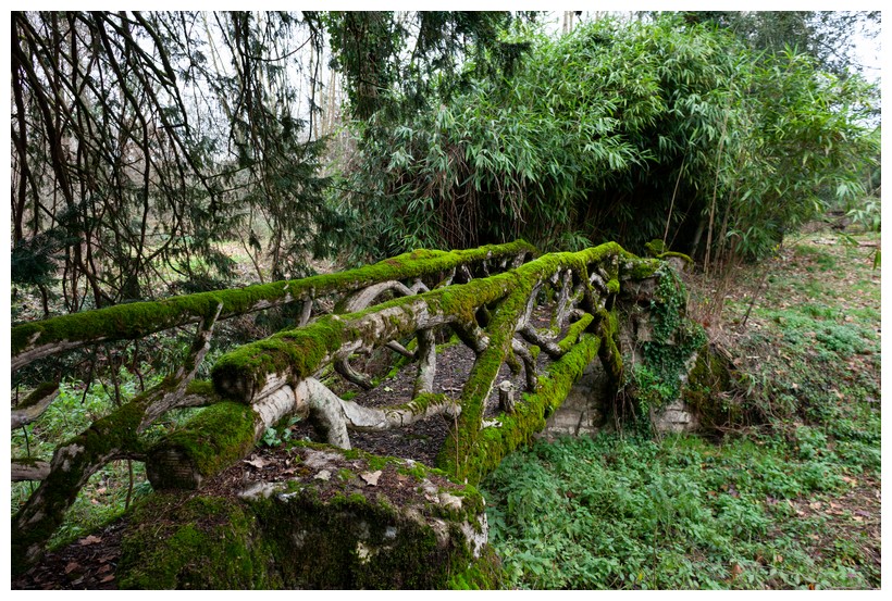Pont ile aux bambous